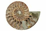 Cut & Polished, Agatized Ammonite Fossil - Madagascar #241009-2